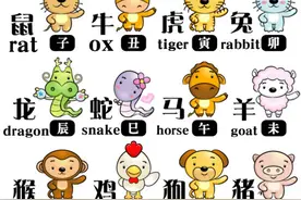 十二生肖及生肖年的英语表达图片