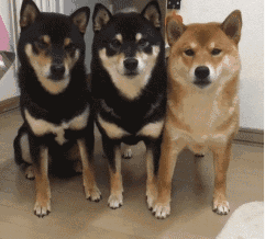 运筹学真的很难吗？