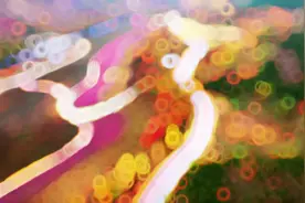 「微视频」美丽河北 | 这一抹五彩的秋色，稍纵即逝图片