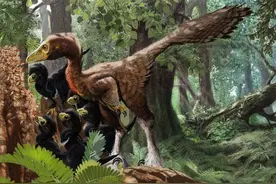 恐龙统治地球长达1亿7千万年，为何没有进化成高等智慧生物？图片