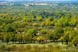 中国第一个即将消失的沙漠：面积比海南岛大，如今80%被绿色覆盖图片
