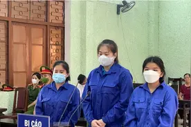 虎毒食子！越南女子偷渡到中国生下孩子后卖给别人，被判刑9年图片