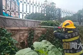 蛇出没！注意避让图片
