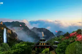 “寨”见杜鹃“别”样红，首届大别山(天堂寨)杜鹃花文化旅游节即将举办图片