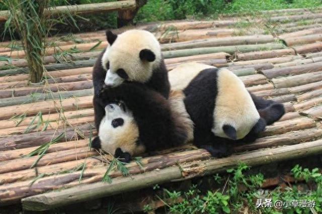 西岭雪山旅游攻略(九寨沟黄龙三日游纯玩)