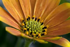 高考难还是考研难？图片