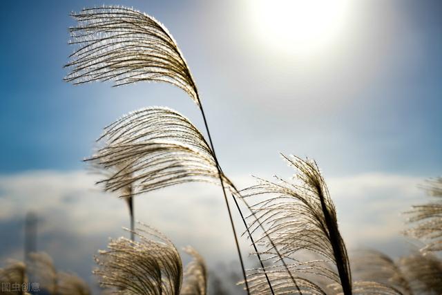 �������ر���ʵ������Ȧ�İ�