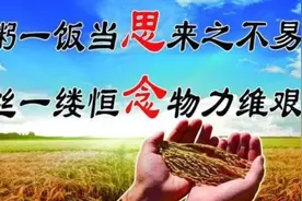 中国一天需要消耗多少粮食？图片