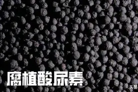 腐植酸尿素与普通尿素，哪种利用率高？使用的方法有区别吗？图片