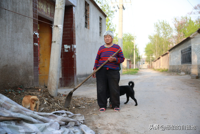 “拉帮套”的习俗，在现实生活中依然存在