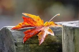 真正聪明的人，善于寻找“偏财”图片