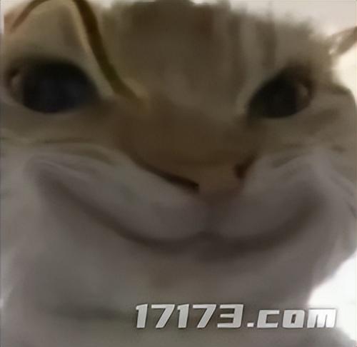 太癫了！千万玩家集体「指猫为鼠」，还成了腾讯王牌游戏的新宠儿