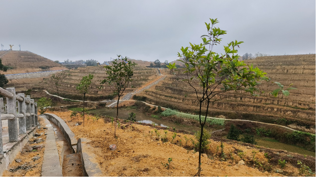 四川省民生研究会新媒体中心-官网