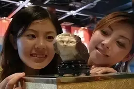 亿元奇石买家是谁？图片