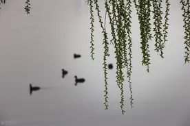 卢丛丛|出局者：一位农村大龄剩男的婚恋困境图片