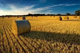 生人无地，死人有田？2023年农村土地或将重新分配，试点已开始！图片