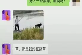 那些看一眼就能笑出来的聊天记录图片