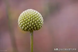 自从我装瞎 装聋作哑 不管闲事以后 我的生活变得好多了图片