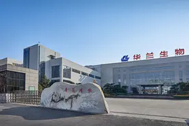 插足新冠疫苗研发，华兰生物业绩骤降图片