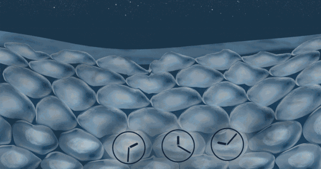 国际大牌雅诗兰黛和兰蔻最钟爱的“土豪酵母”，真的能抗衰吗？