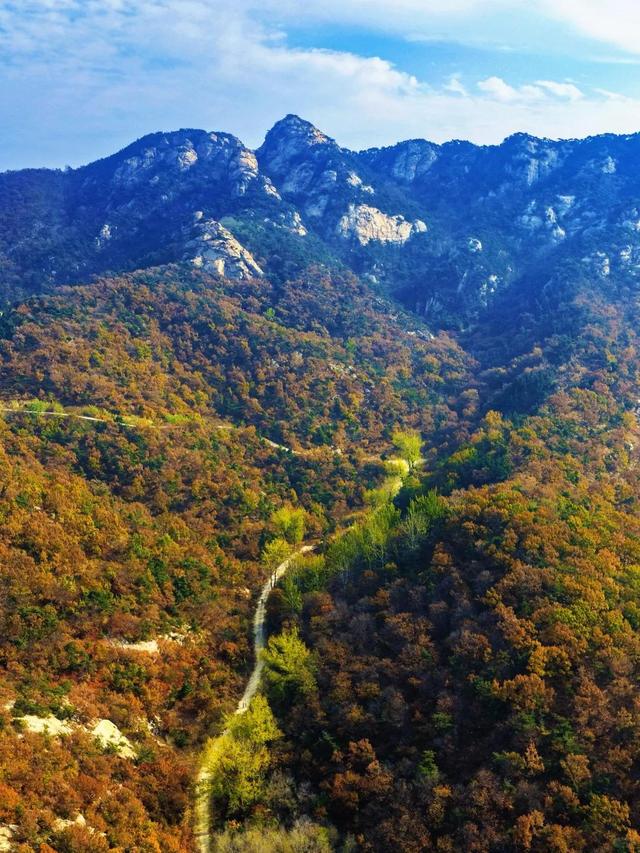 目测要火！烟台这座小城最近好看得离谱