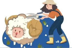 一些小羊毛app图片