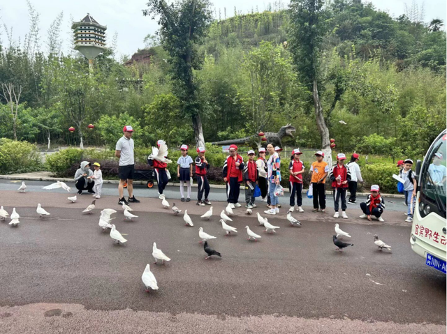 四川省民生研究会新媒体中心-官网