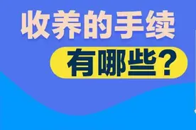 《学法典读案例答问题》——收养的手续有哪些？图片