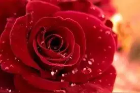 原来一个家庭最好的风水，是这样的图片