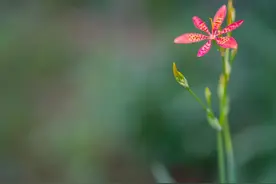 一笑，便过了图片