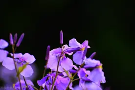 人过五十，学会忍住图片