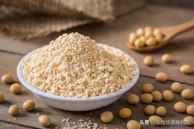 豌豆酶解生产植物蛋白饮料的酶解工艺是什么？