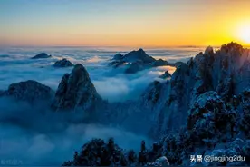 处女座最喜欢的星座是？图片