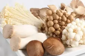 菌菇吃得好，肉都比不了！小小蘑菇这样吃，提高抵抗力，鲜美营养图片