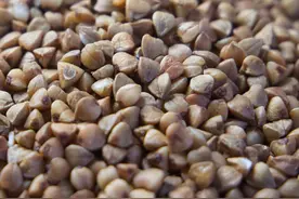 糖尿病、减肥常用控糖粗粮——荞麦（甜荞、苦荞）图片