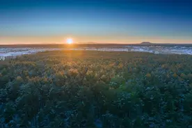再看林海雪原，才发现经常背叛的人，下场都挺惨图片