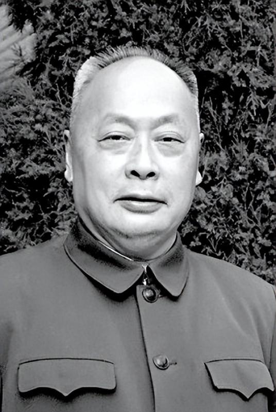 1972年，陈毅临终前嘱咐王震：此人曾经要杀我，不要让他受委屈了
