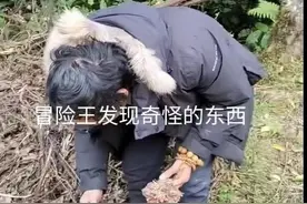 西藏冒险王镜头里奇奇怪怪的东西图片