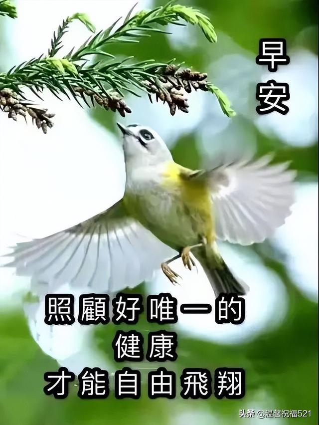 最新微信打招呼早上好问候语动态图带字 2022漂亮早上好表情图带字