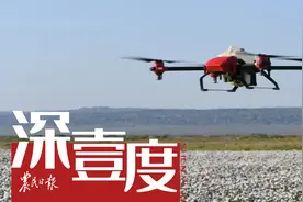 中国农业无人机：最接地气的“黑科技”能飞多远？图片
