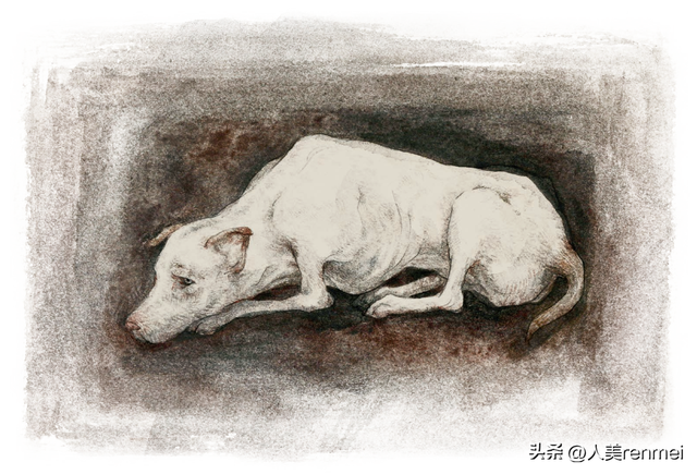 连环画丨橘子