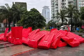 直击“叮咚鸡”解封第一天，滨河南再也不难了图片