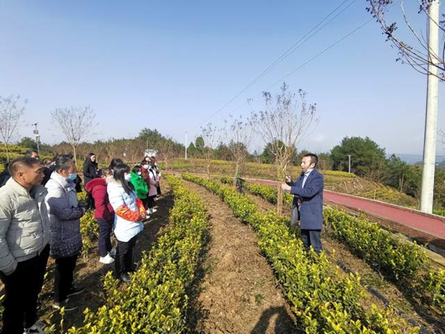 四川省民生研究会新媒体中心-官网