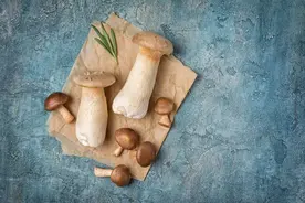 吃蘑菇的最佳季节到了！科学家发现它的新好处图片