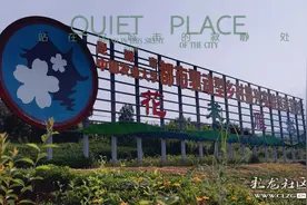 乡愁雁塔村，人间烟火气息图片