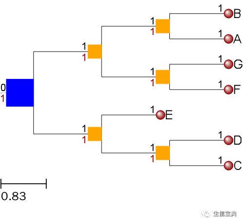 ETE构建、绘制进化树