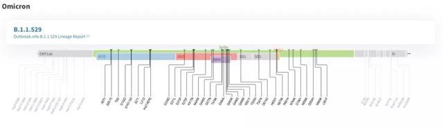 华大智造ATOPlex V3.0 + DNBSEQ测序平台联合出击