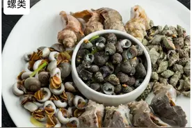 海里10种常吃的螺类，你吃过几种？小海鲜更鲜美，附：价格和吃法图片