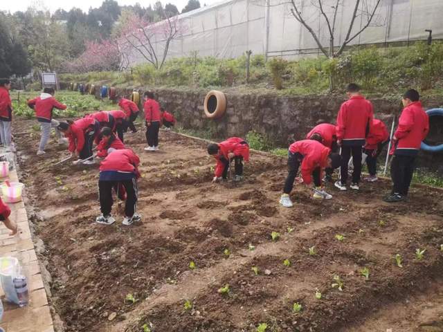 四川省民生研究会新媒体中心-官网