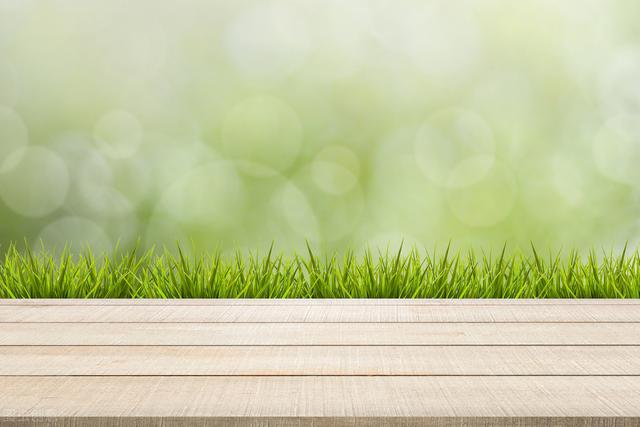 面板行业分析第一季第一集巨头,究竟如何炼成?